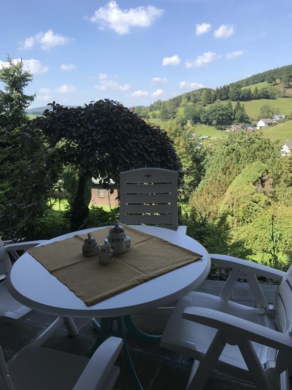Artgerecht Vintage Villa Bad Berleburg Kültér fotó